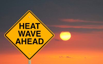 Beat the Heat: Summer Safety Tips from Carolina QuickCare