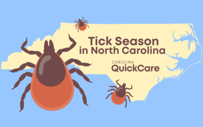 Tick Season in North Carolina